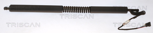TRISCAN Gasfeder, Koffer-/Laderaum