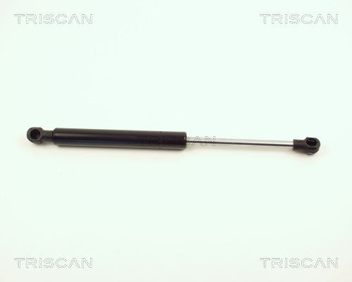 TRISCAN Gasfeder, Koffer-/Laderaum
