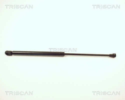 TRISCAN Gasfeder, Koffer-/Laderaum