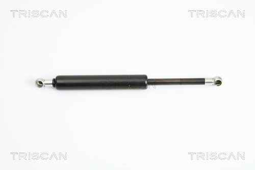 TRISCAN Gasfeder, Koffer-/Laderaum