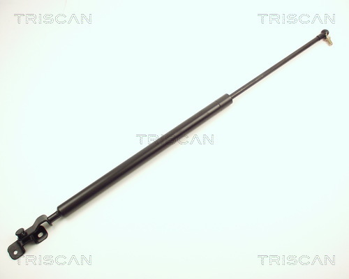 TRISCAN Gasfeder, Koffer-/Laderaum