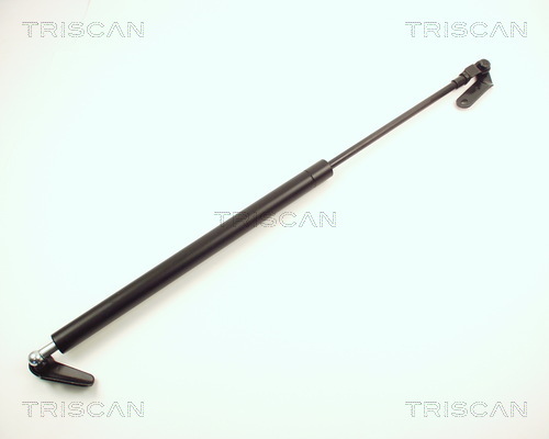 TRISCAN Gasfeder, Koffer-/Laderaum