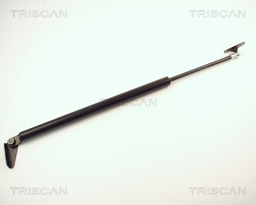 TRISCAN Gasfeder, Koffer-/Laderaum