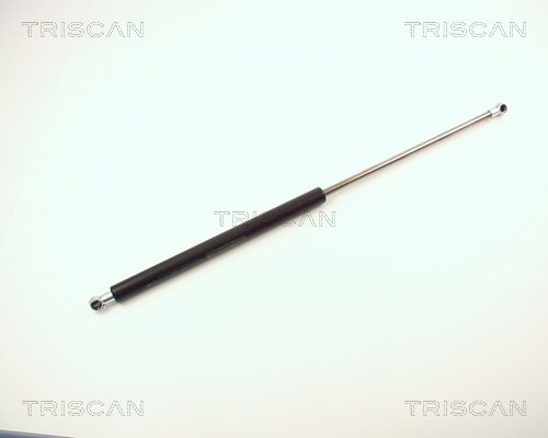 TRISCAN Gasfeder, Koffer-/Laderaum