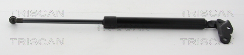 TRISCAN Gasfeder, Koffer-/Laderaum