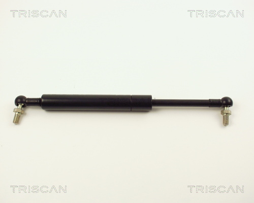 TRISCAN Gasfeder, Koffer-/Laderaum