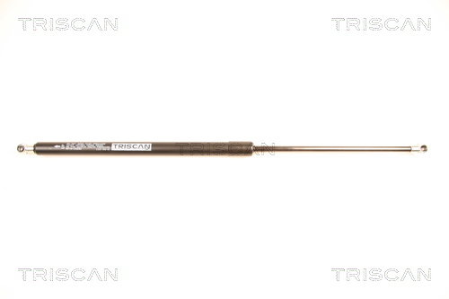 TRISCAN Gasfeder, Koffer-/Laderaum