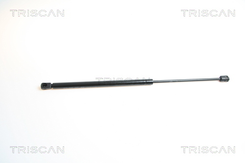 TRISCAN Gasfeder, Koffer-/Laderaum