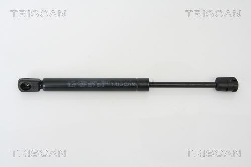 TRISCAN Gasfeder, Koffer-/Laderaum