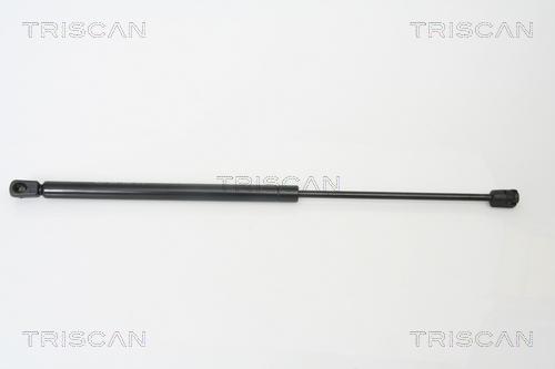 TRISCAN Gasfeder, Koffer-/Laderaum