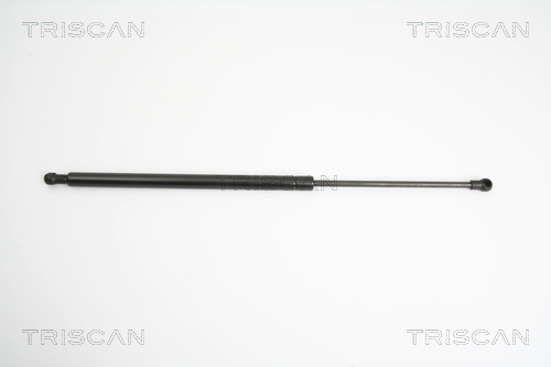 TRISCAN Gasfeder, Koffer-/Laderaum