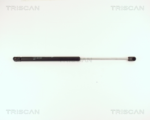 TRISCAN Gasfeder, Koffer-/Laderaum
