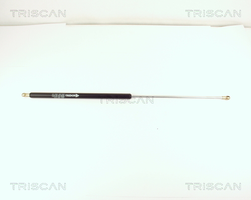 TRISCAN Gasfeder, Koffer-/Laderaum