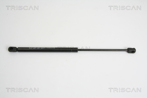 TRISCAN Gasfeder, Koffer-/Laderaum