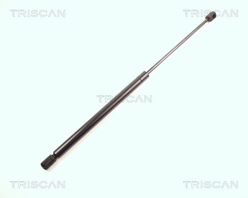 TRISCAN Gasfeder, Koffer-/Laderaum