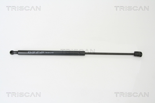 TRISCAN Gasfeder, Koffer-/Laderaum