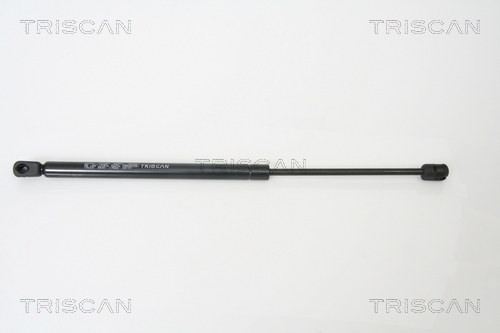 TRISCAN Gasfeder, Koffer-/Laderaum