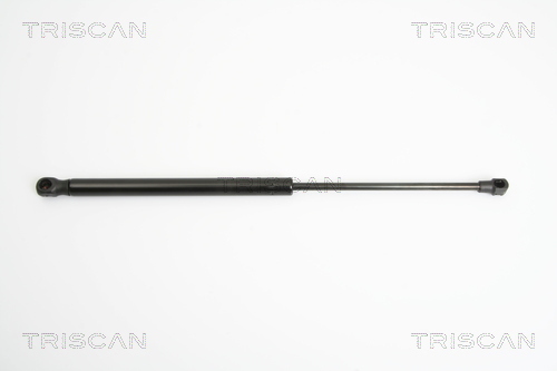 TRISCAN Gasfeder, Koffer-/Laderaum