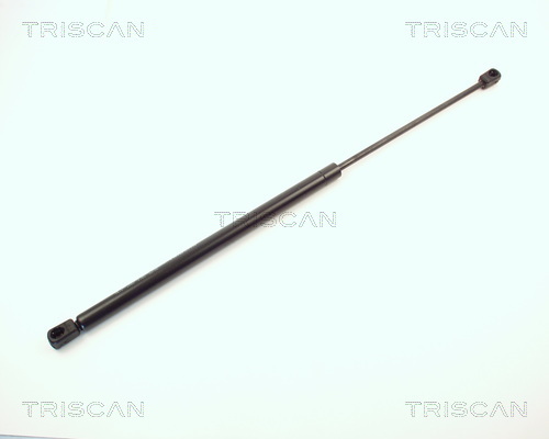 TRISCAN Gasfeder, Koffer-/Laderaum