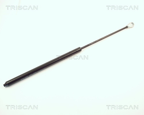 TRISCAN Gasfeder, Koffer-/Laderaum