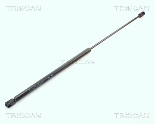 TRISCAN Gasfeder, Koffer-/Laderaum