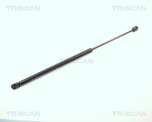 TRISCAN Gasfeder, Koffer-/Laderaum