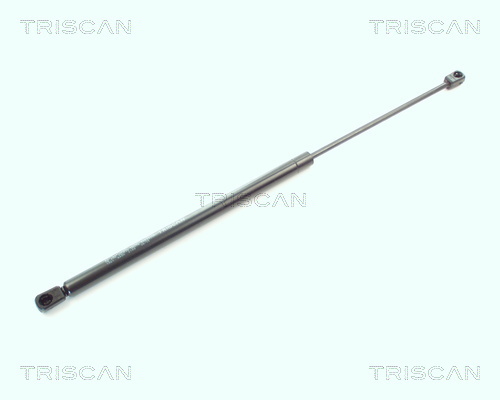 TRISCAN Gasfeder, Koffer-/Laderaum