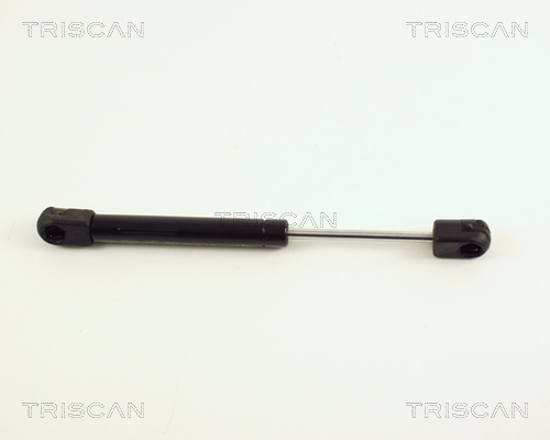 TRISCAN Gasfeder, Koffer-/Laderaum