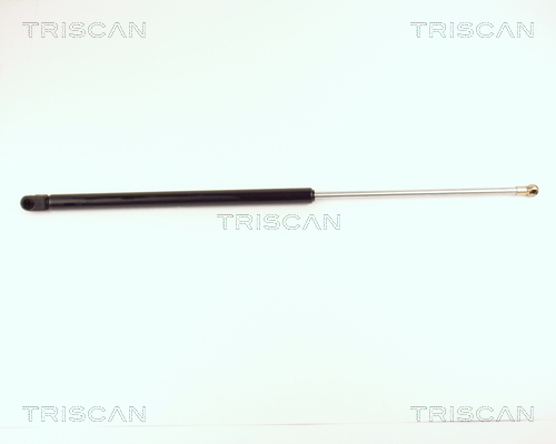 TRISCAN Gasfeder, Koffer-/Laderaum