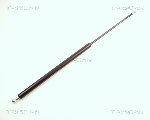TRISCAN Gasfeder, Koffer-/Laderaum