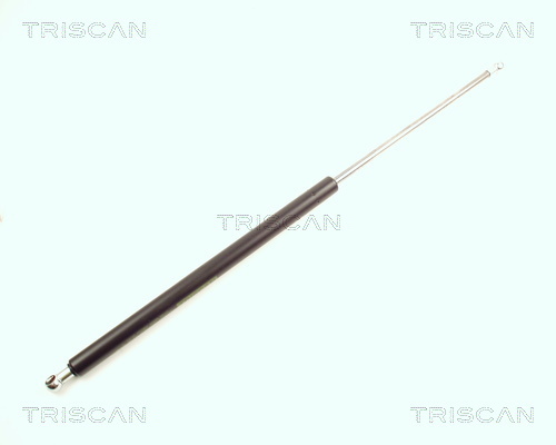 TRISCAN Gasfeder, Koffer-/Laderaum