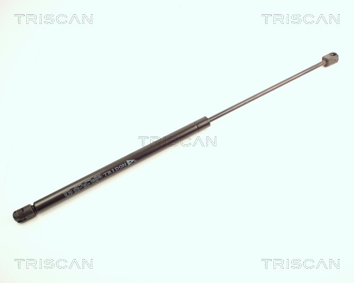 TRISCAN Gasfeder, Koffer-/Laderaum