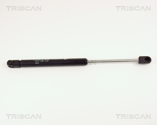 TRISCAN Gasfeder, Koffer-/Laderaum