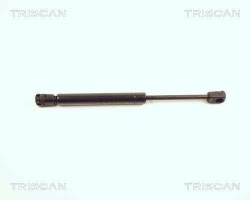 TRISCAN Gasfeder, Koffer-/Laderaum