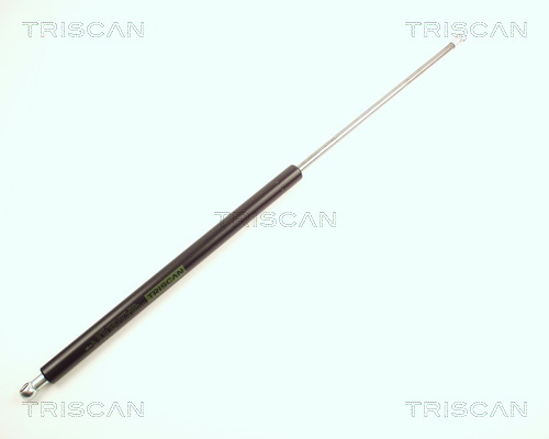 TRISCAN Gasfeder, Koffer-/Laderaum