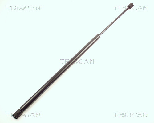 TRISCAN Gasfeder, Koffer-/Laderaum