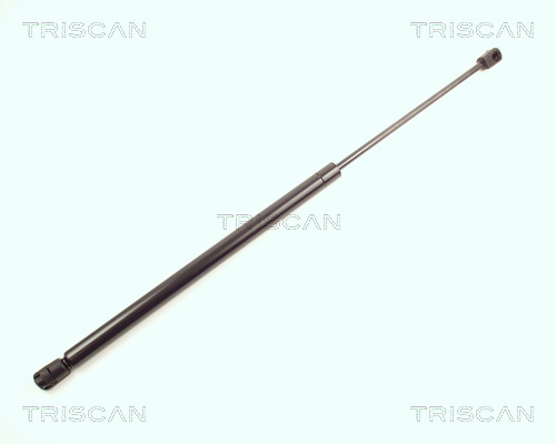 TRISCAN Gasfeder, Koffer-/Laderaum