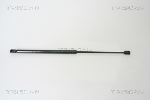TRISCAN Gasfeder, Koffer-/Laderaum