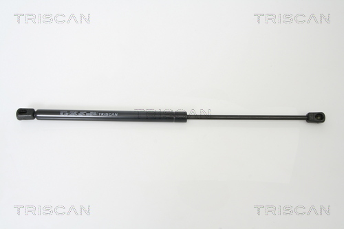 TRISCAN Gasfeder, Koffer-/Laderaum