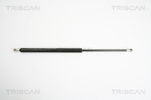 TRISCAN Gasfeder, Koffer-/Laderaum