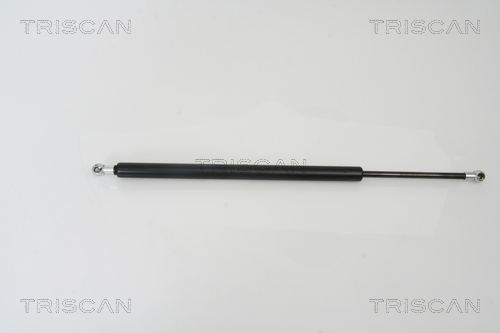 TRISCAN Gasfeder, Koffer-/Laderaum