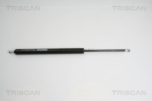 TRISCAN Gasfeder, Koffer-/Laderaum
