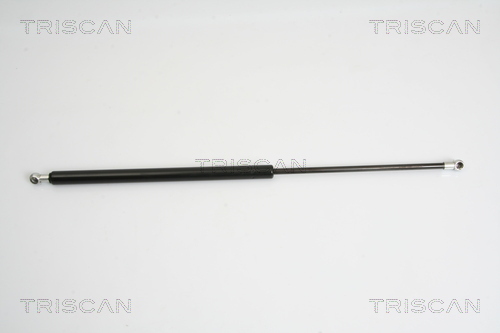 TRISCAN Gasfeder, Koffer-/Laderaum