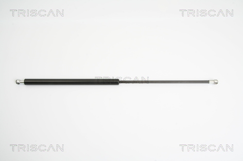 TRISCAN Gasfeder, Koffer-/Laderaum