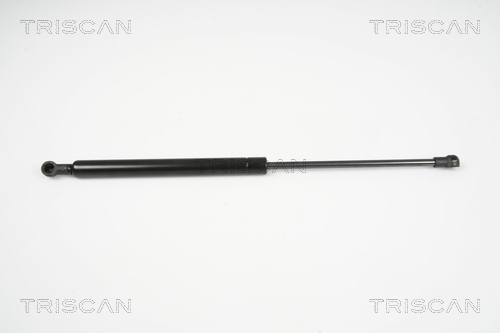 TRISCAN Gasfeder, Koffer-/Laderaum