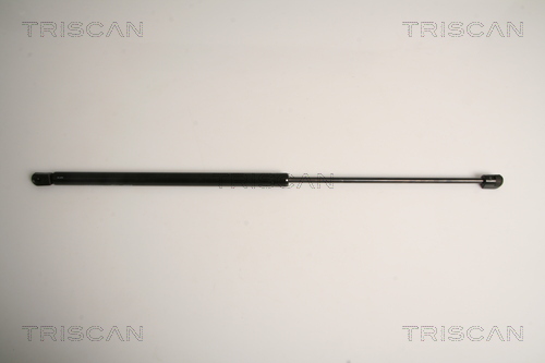 TRISCAN Gasfeder, Koffer-/Laderaum