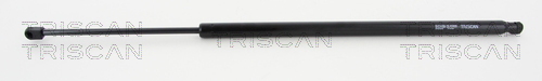 TRISCAN Gasfeder, Koffer-/Laderaum