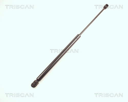 TRISCAN Gasfeder, Koffer-/Laderaum