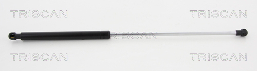 TRISCAN Gasfeder, Koffer-/Laderaum