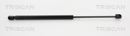 TRISCAN Gasfeder, Koffer-/Laderaum
